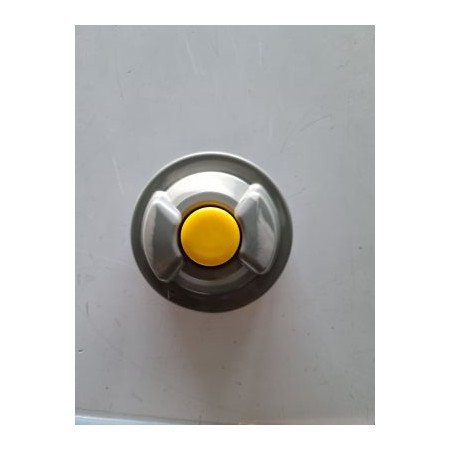 BOUTON POUSSOIR C2/C3/C4